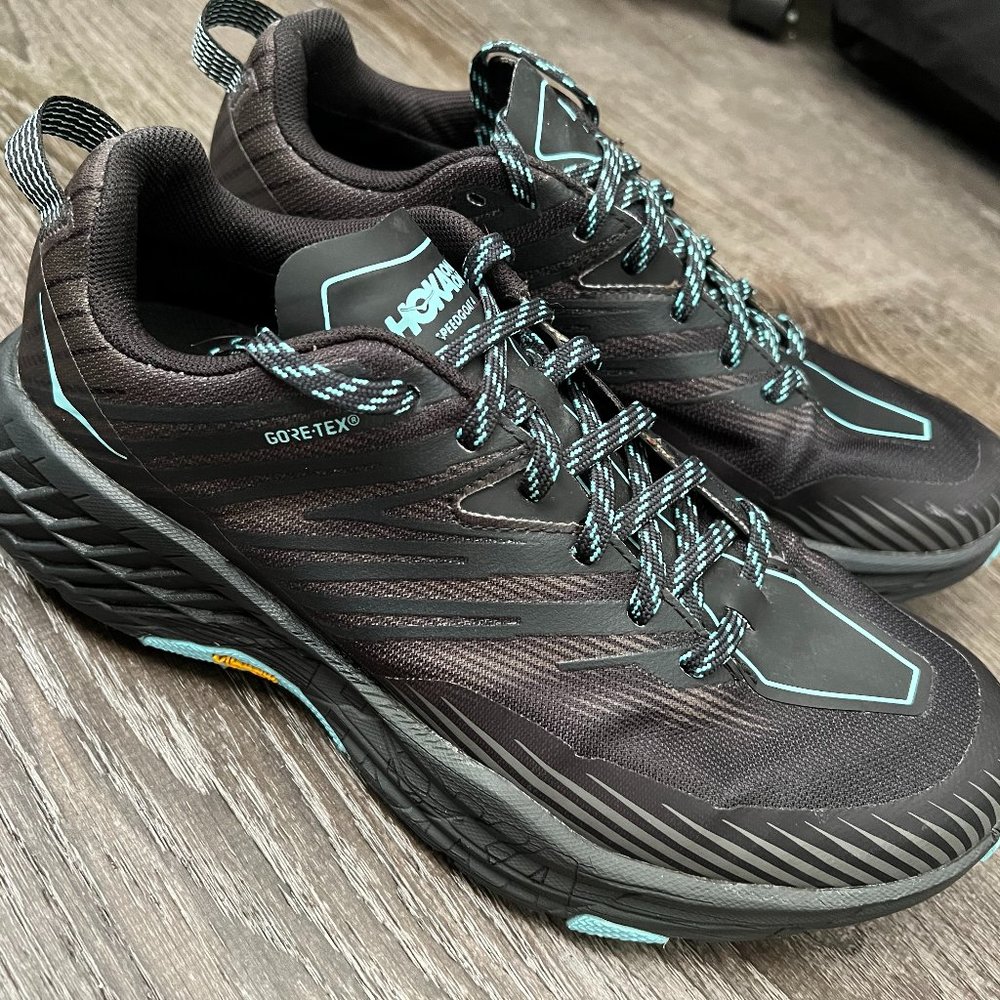 Women's Speedgoat 4 GTX Size 9